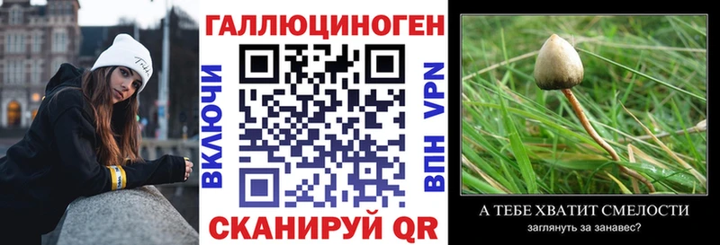 Купить где  Печоры  Галлюциногенные грибы Cubensis 